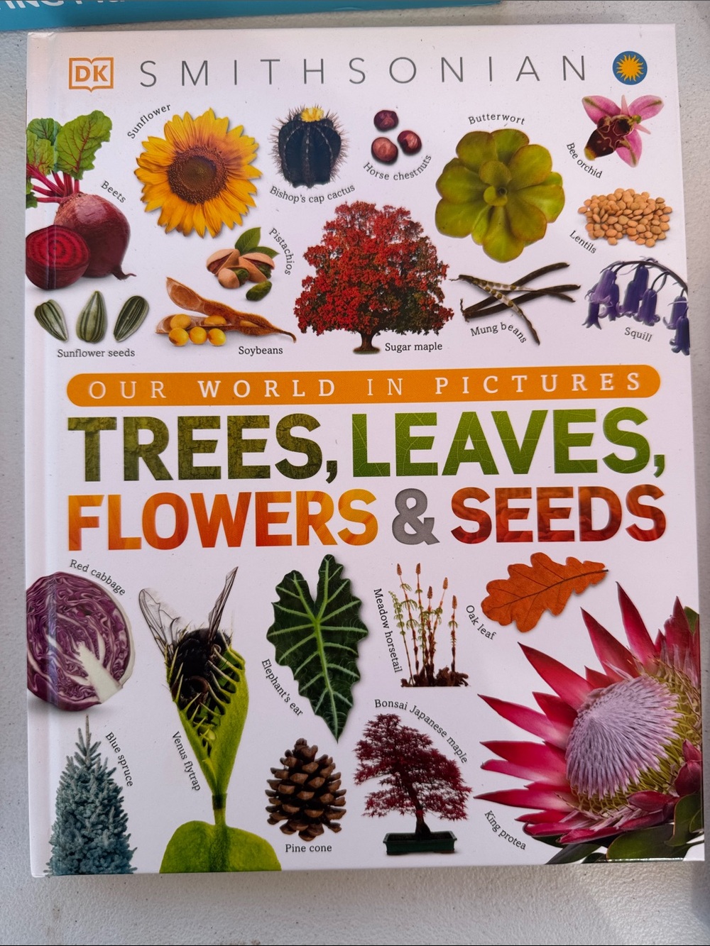Smithsonian Trees, Leaves, Flowers & Seeds hardback book